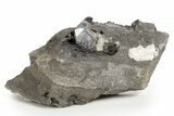Herkimer Diamonds in Matrix - The Ace of Diamonds Mine, New York #324472-2